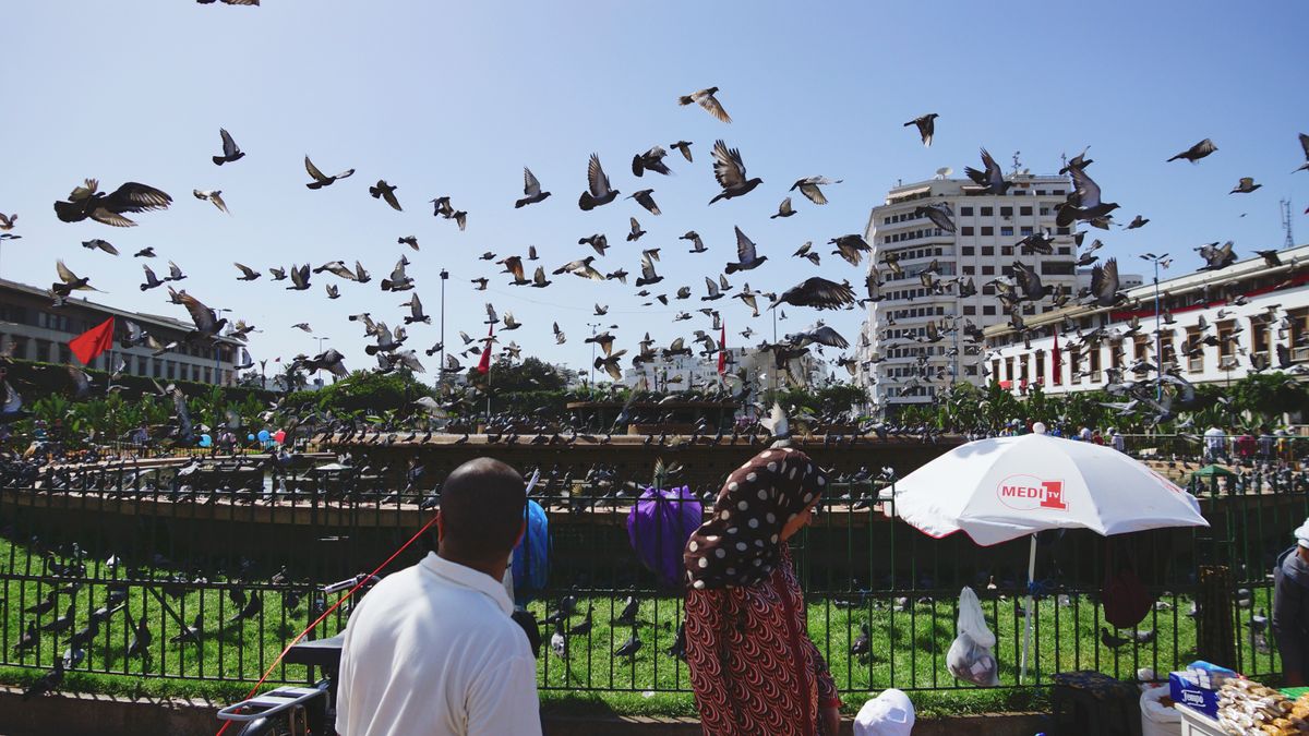 Dans les rues de Casablanca