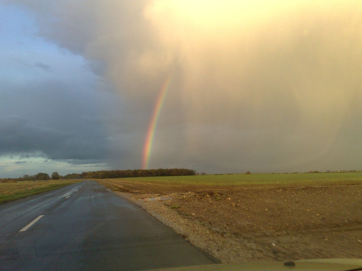 Apres la pluie