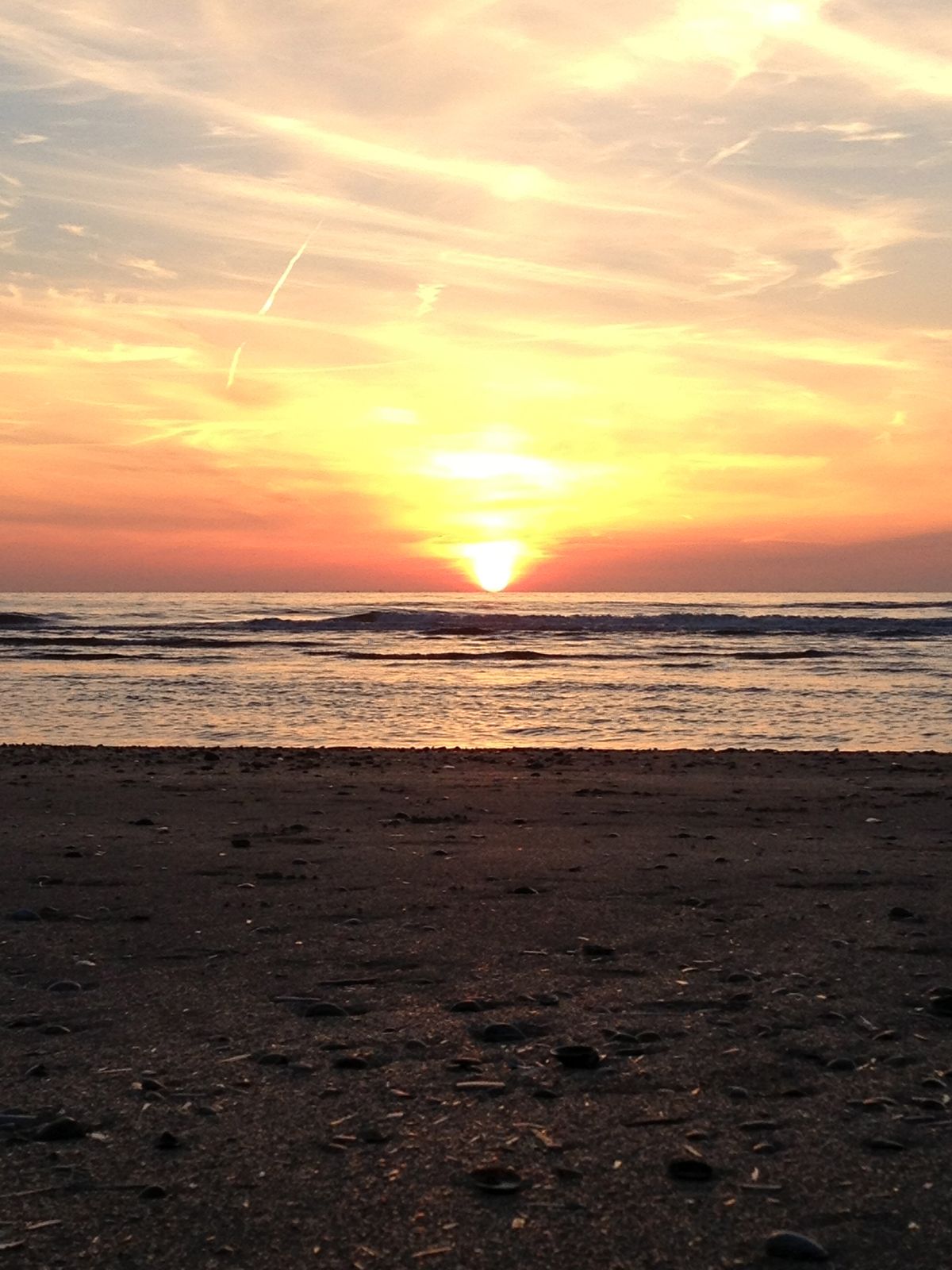 De zee kabbelt rustig tegen het met schelpen bedekte strand. De zeemeeuwen krijsen vrolijk in de lucht. De zon zakt stilletjes weg, terwijl het de tekeningen in de lucht inkleurt. Flora en Fauna komen samen, gewoon in het Hollandse Wijk aan Zee.