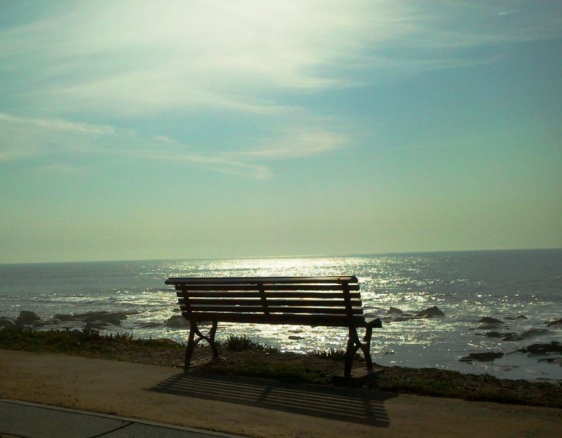 Portugal - a lonely bench in Vila Praia de Ancora