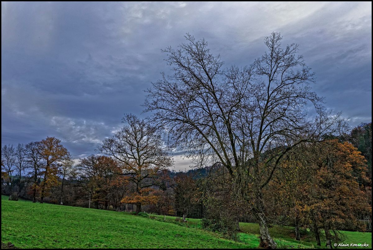 Vallée de la Lienne