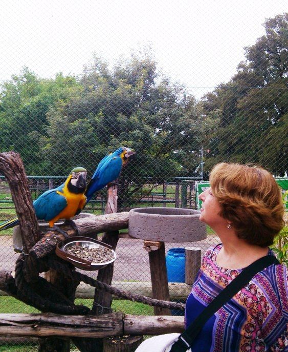 Talking to parrots - Luján Zoo (Argentina)