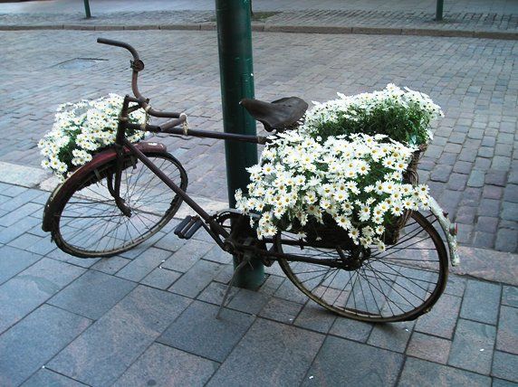 Wonderful idea - Helsinki / Finland