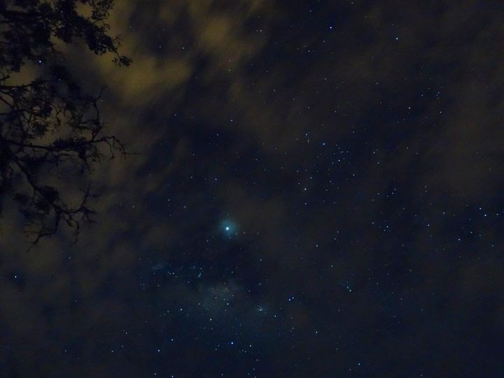 DSC01002.jpg