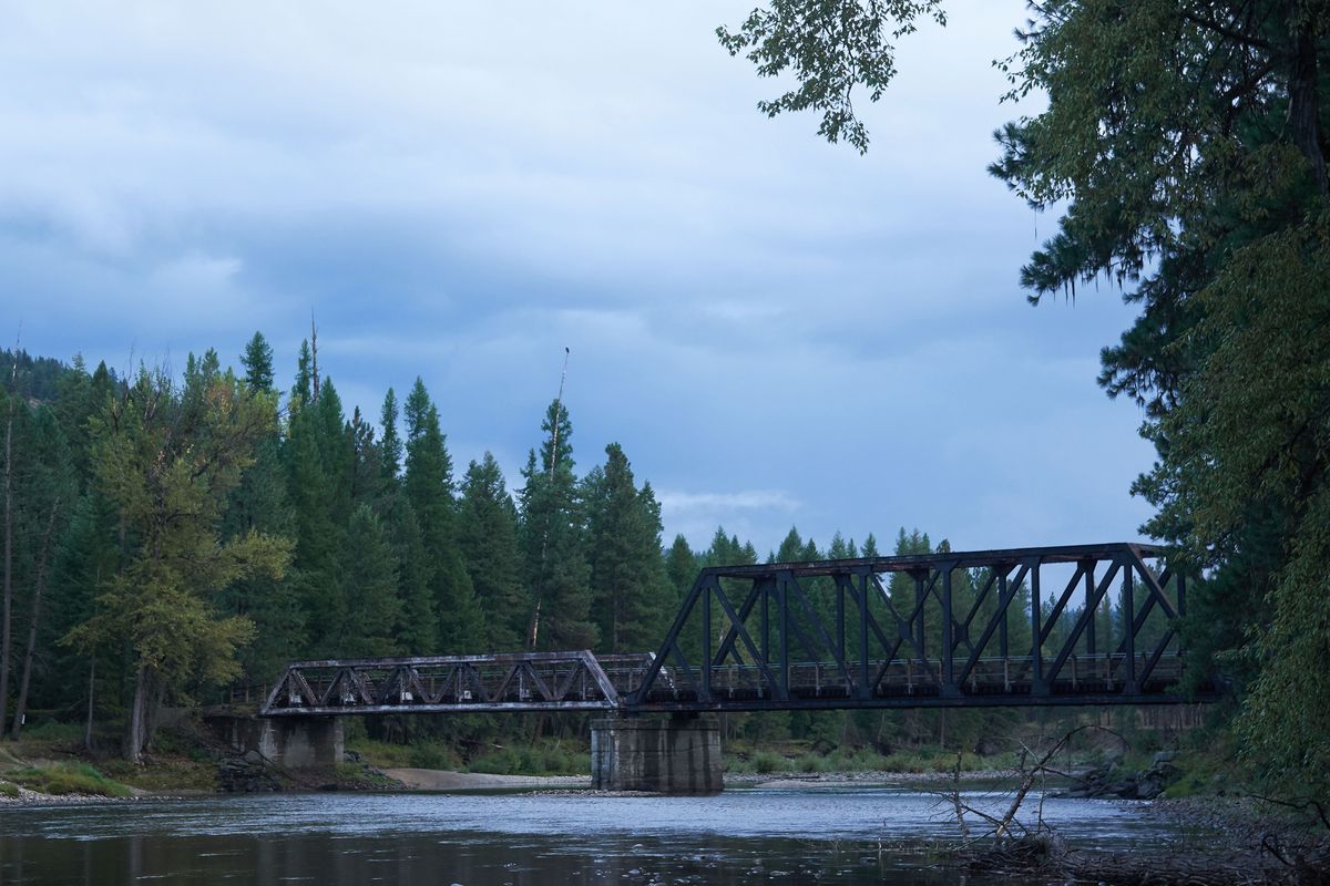 Wandeling in Kettle River PP British Columbia, opeens een stipje op de kale boomtop.