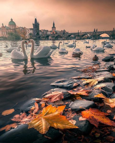 ilhan1077.jpg ilhan1077.jpg