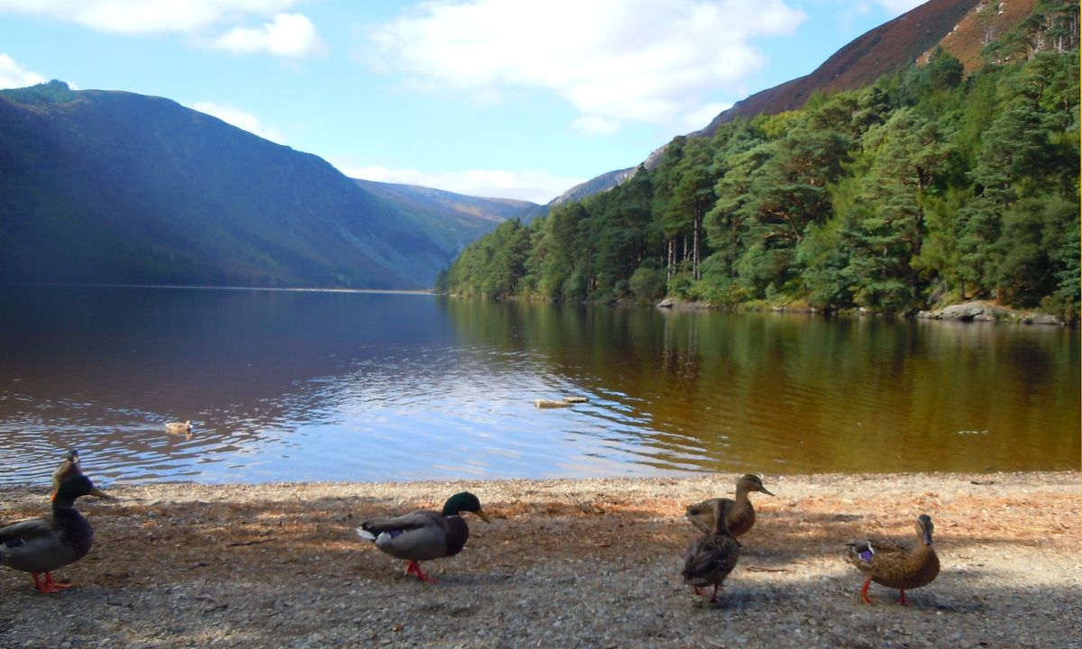 Glandelough lake, Ireland